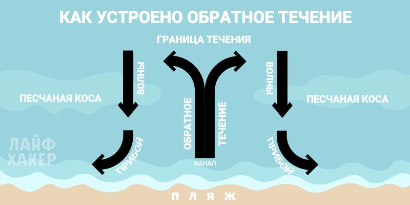 Что такое обратное течение и как не утонуть рядом с берегом