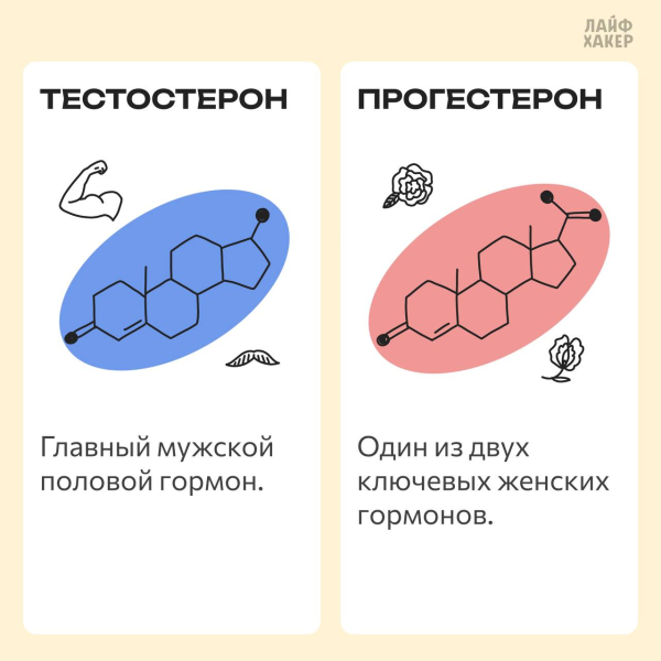 6 медицинских понятий, которые часто путают