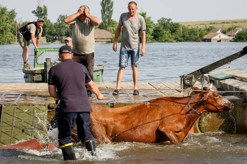 Слово за «Словом»