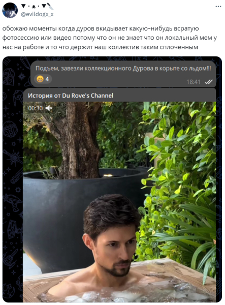 «Минтай охлаждённый»: Павел Дуров в ледяной воде стал героем мемов