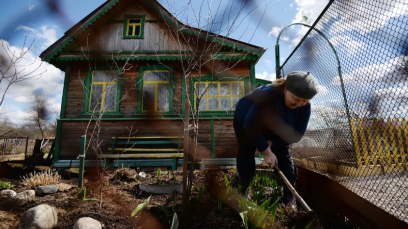 Врач Ярыгина дала совет дачникам не работать вниз головой во избежание инсульта